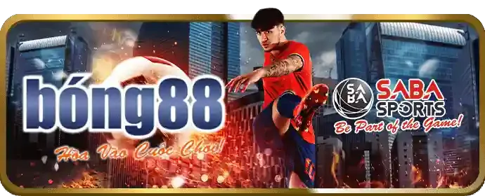 Quản lý tài khoản VIP go8